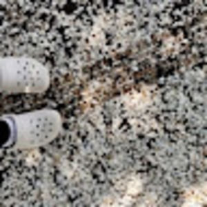 Meet your Posher, Gemma